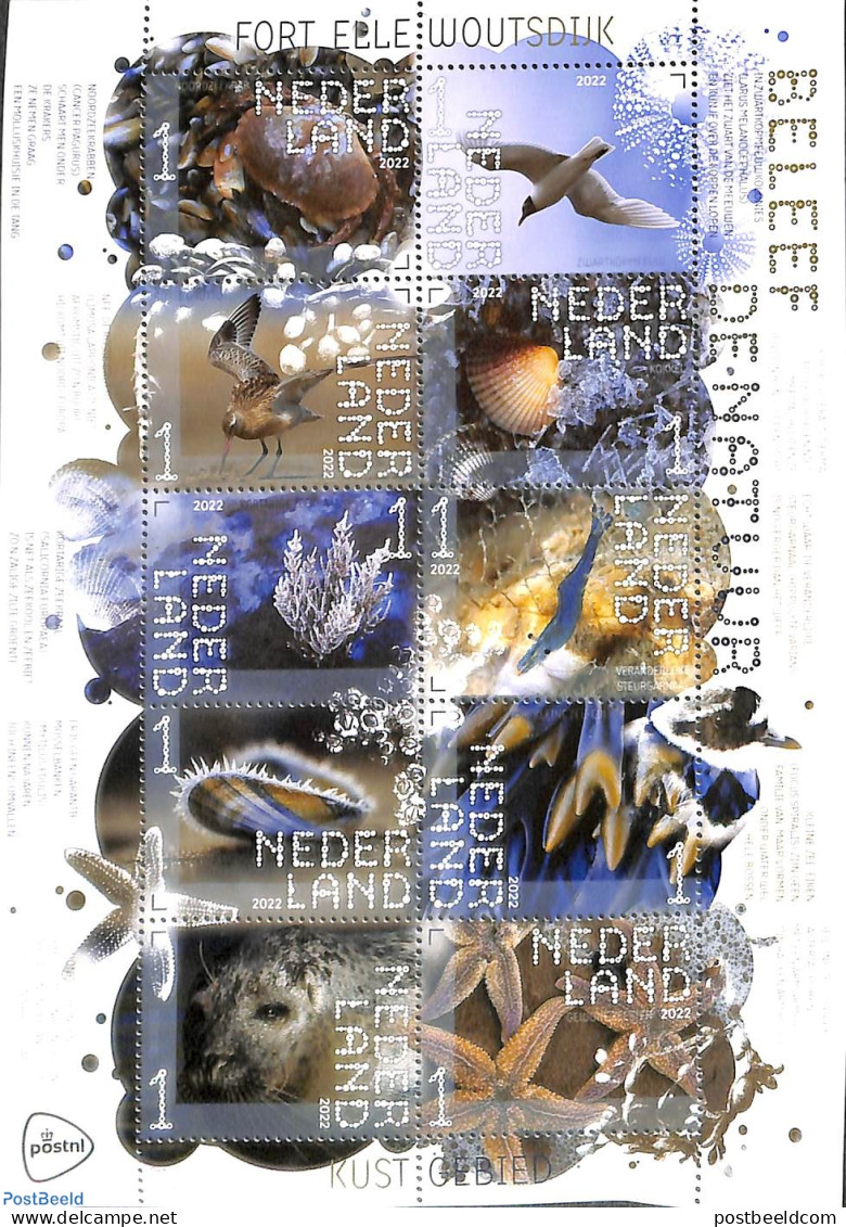 Netherlands 2022 Nature, Coastal Aereas 10v M/s S-a, Mint NH, Nature - Birds - Sea Mammals - Shells & Crustaceans - Unused Stamps