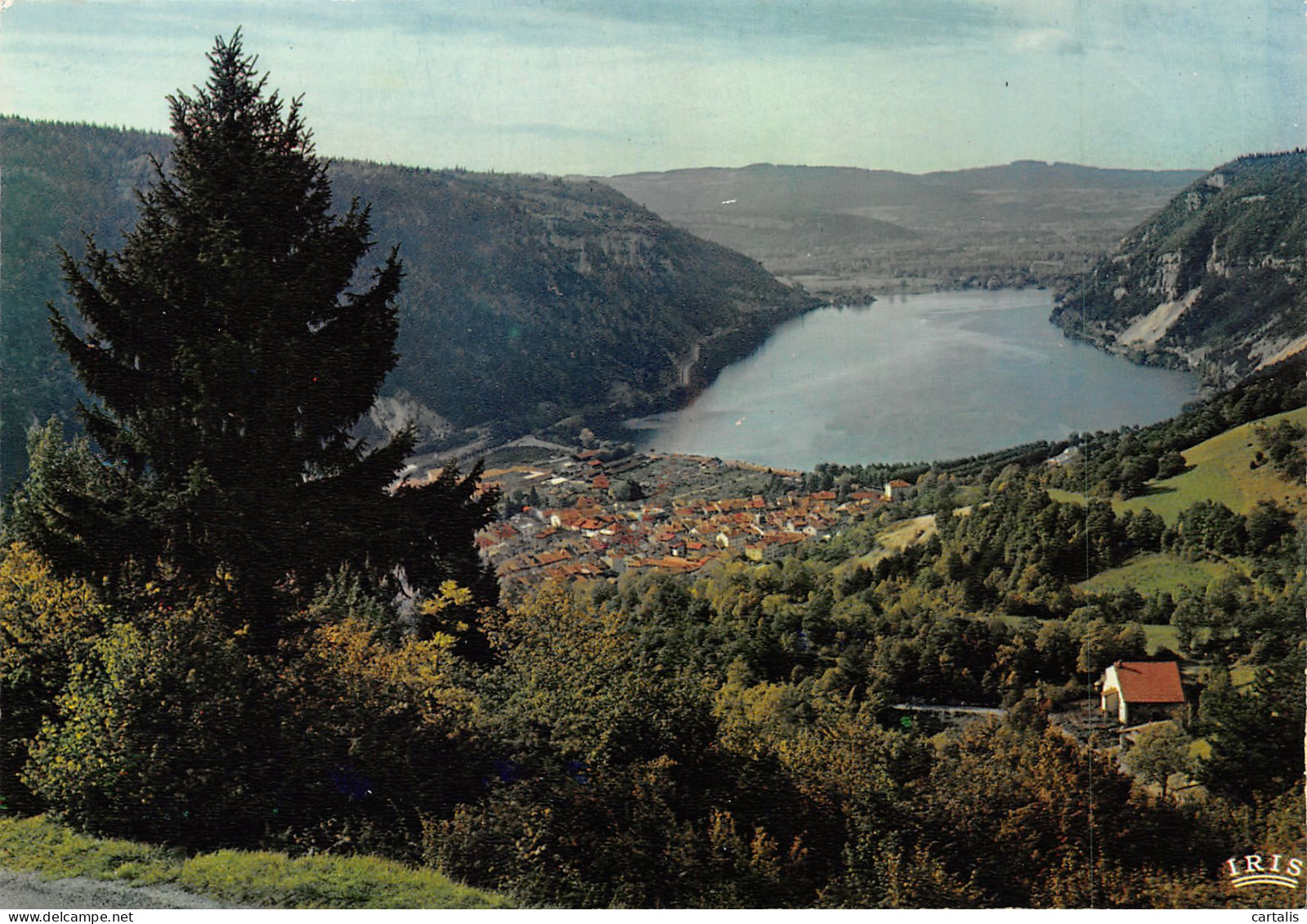 01-NANTUA-N°3724-B/0083 - Nantua