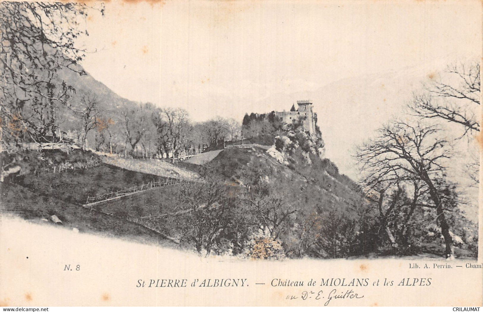 73-SAINT PIERRE D ALBIGNY-N°T5048-B/0217 - Saint Pierre D'Albigny