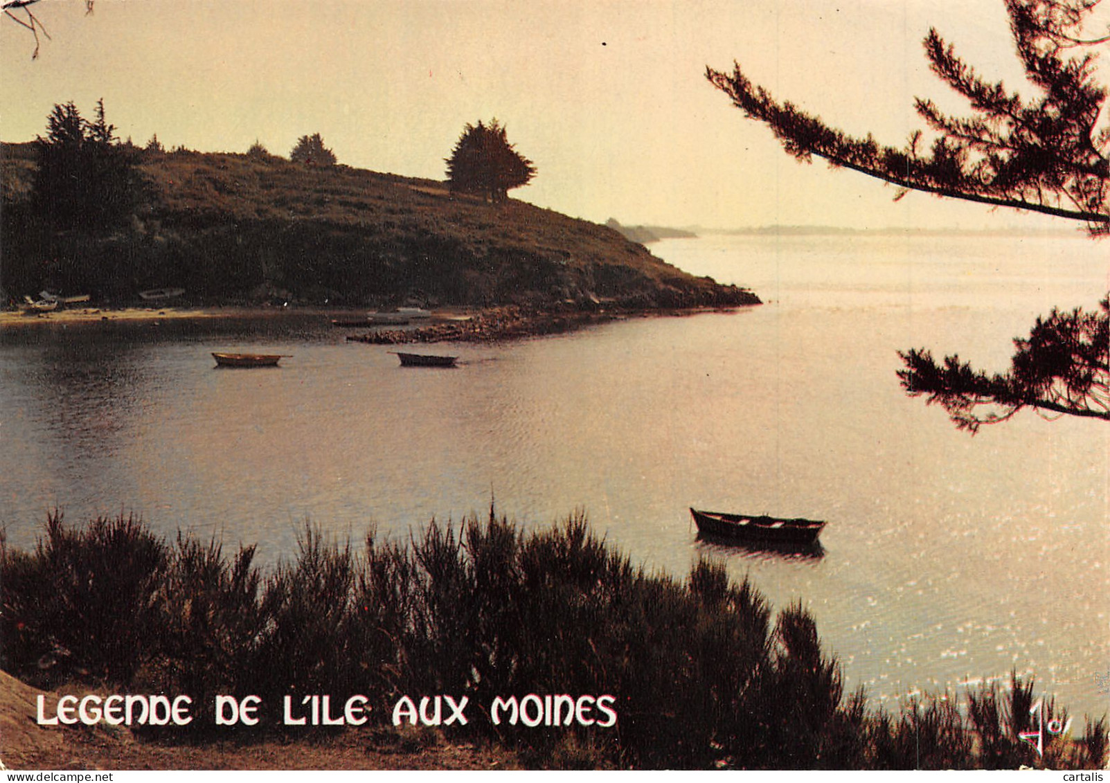 56-ILE AUX MOINES-N°3726-C/0253 - Ile Aux Moines