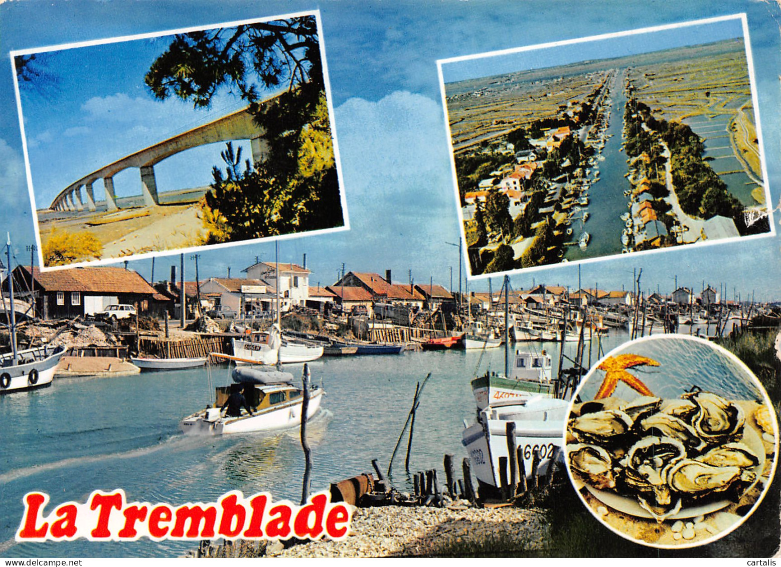 17-LA TREMBLADE-N°3726-B/0375 - La Tremblade