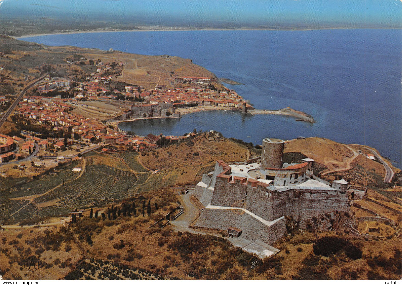 66-COLLIOURE -N°3727-C/0137 - Collioure