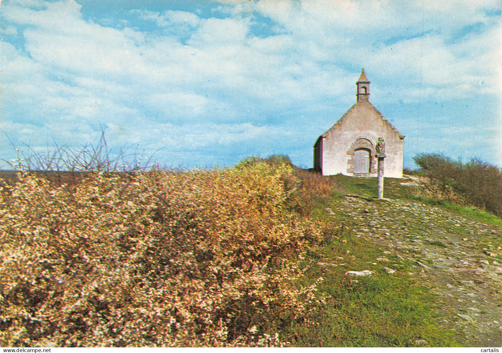 56-CARNAC-N°3729-A/0171 - Carnac