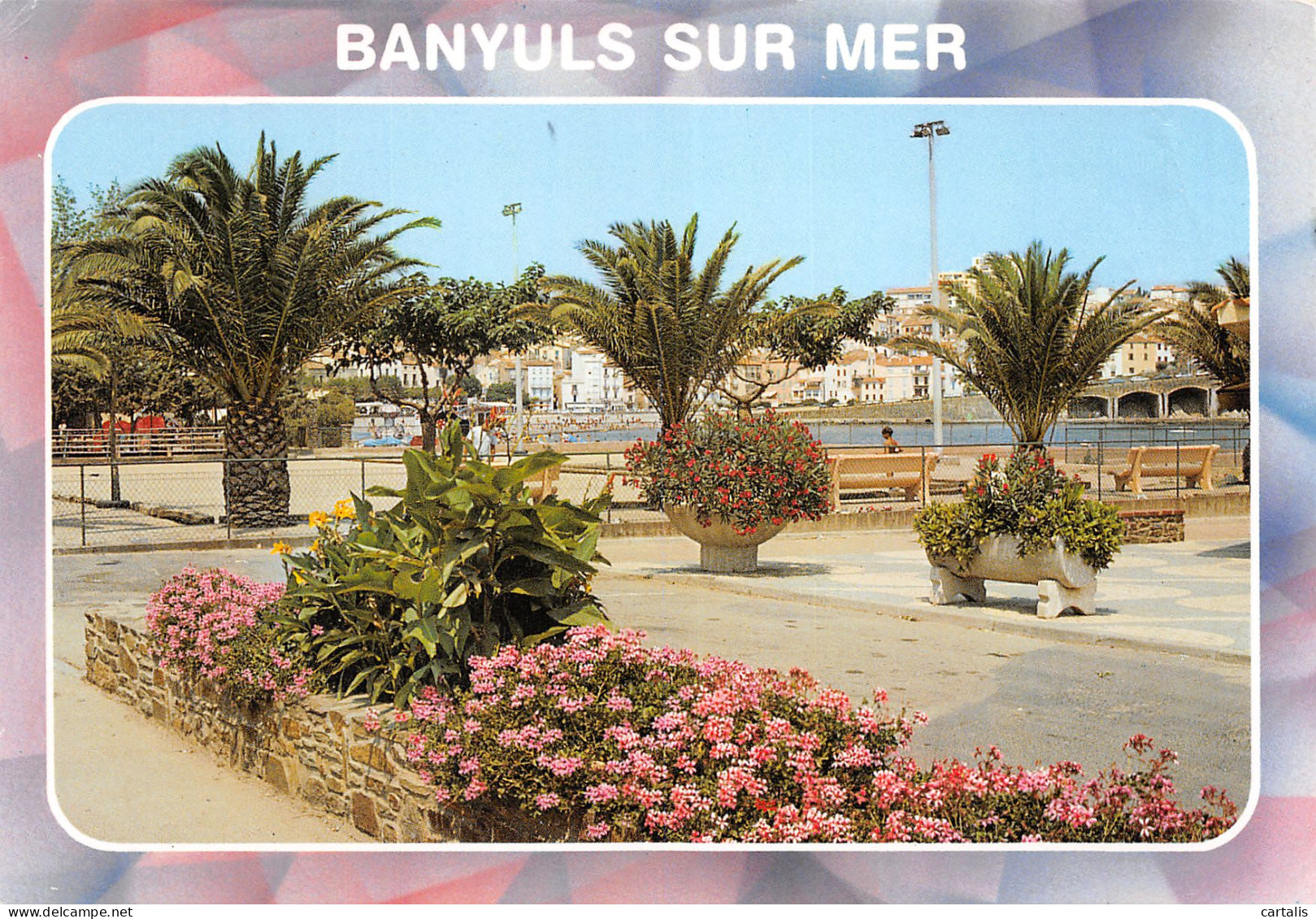 66-BANYULS SUR MER-N°3730-B/0357 - Banyuls Sur Mer