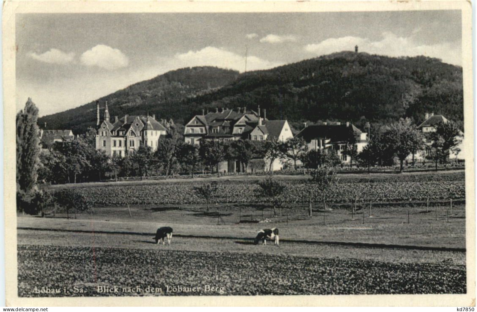 Löbau In Sachsen - Loebau