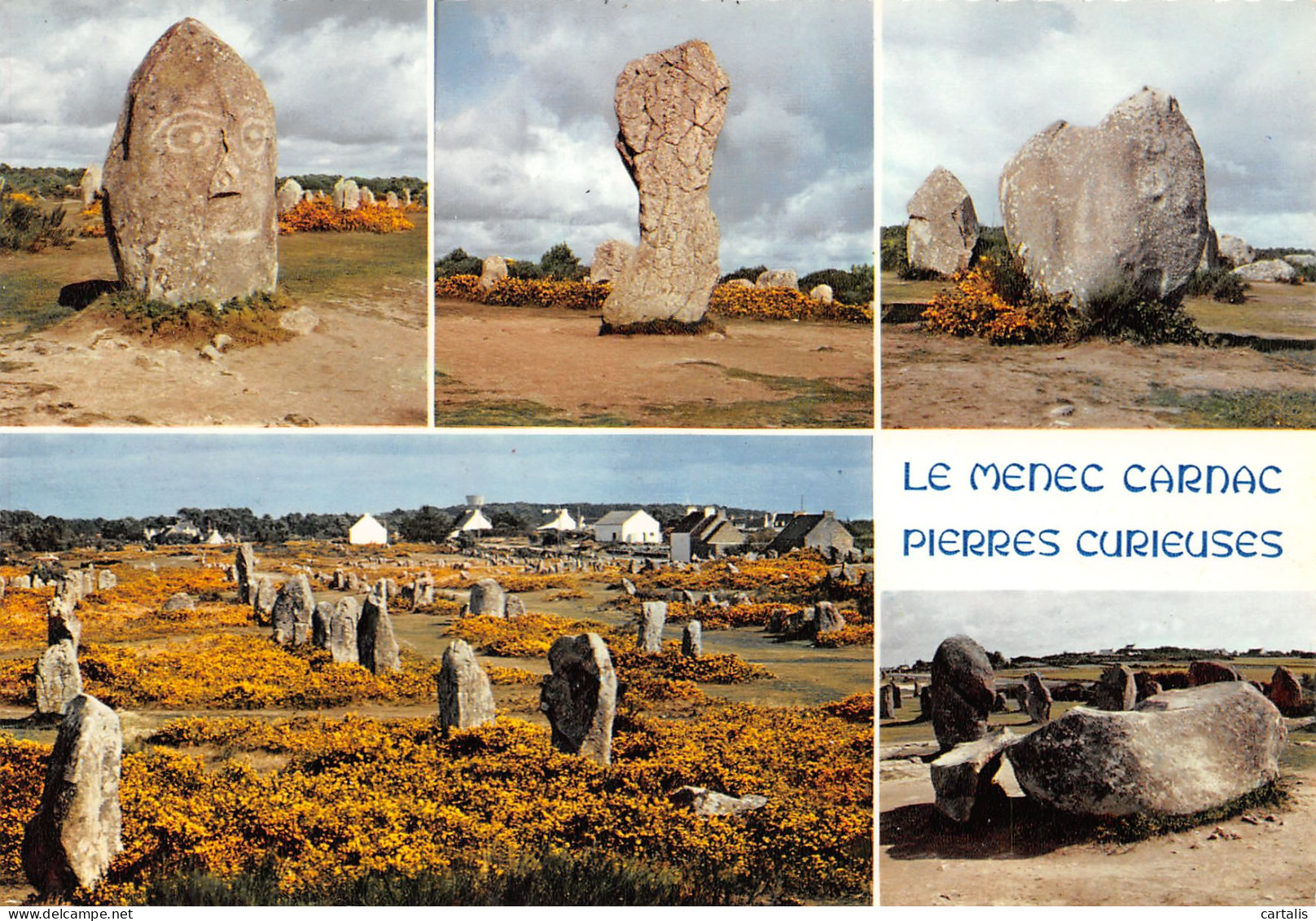 56-CARNAC-N°3731-D/0217 - Carnac