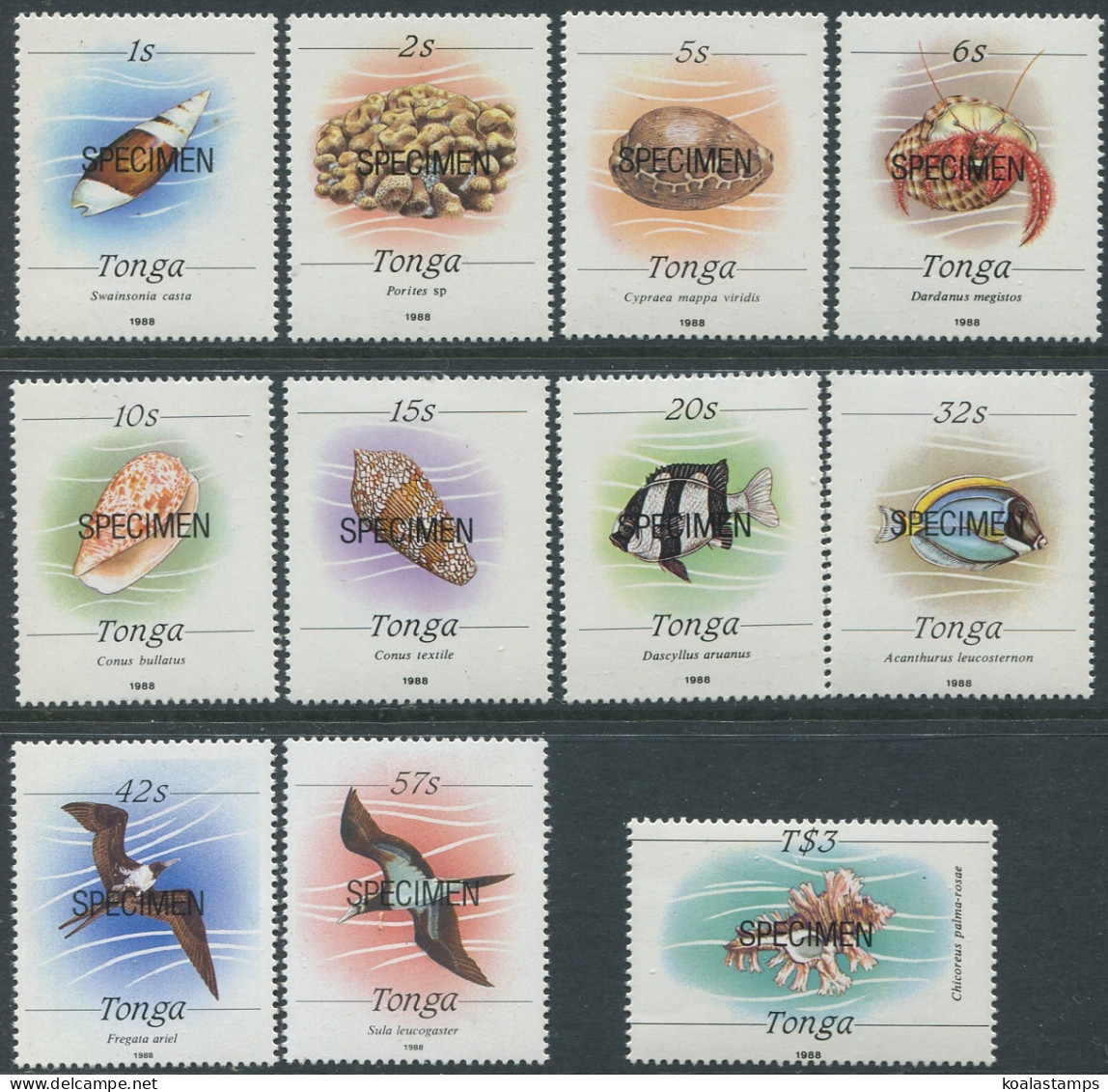 Tonga 1988 SG999-1016 Marine Life 1988 SPECIMEN Series (11) MNH - Tonga (1970-...)