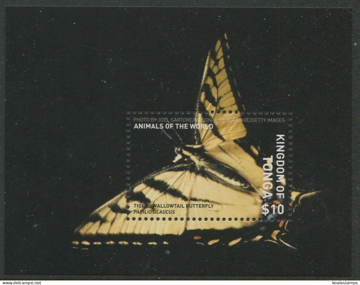Tonga 2018 SG1868 $10 Butterfly MNH - Tonga (1970-...)