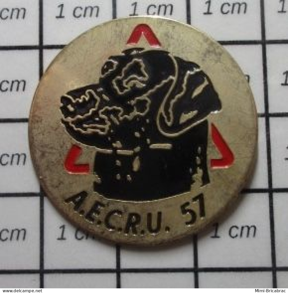 221 Pin's Pins / Beau Et Rare : ANIMAUX / CHIEN NOIR AECRU 57 - Animals