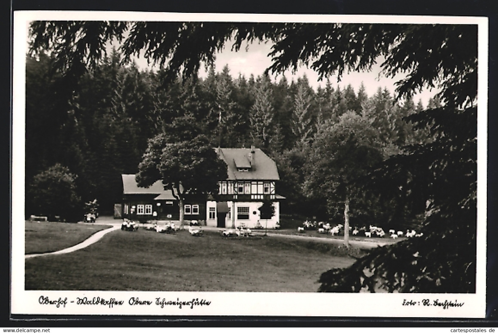 AK Oberhof / Th., Waldkaffee Mit Belebtem Garten  - Oberhof