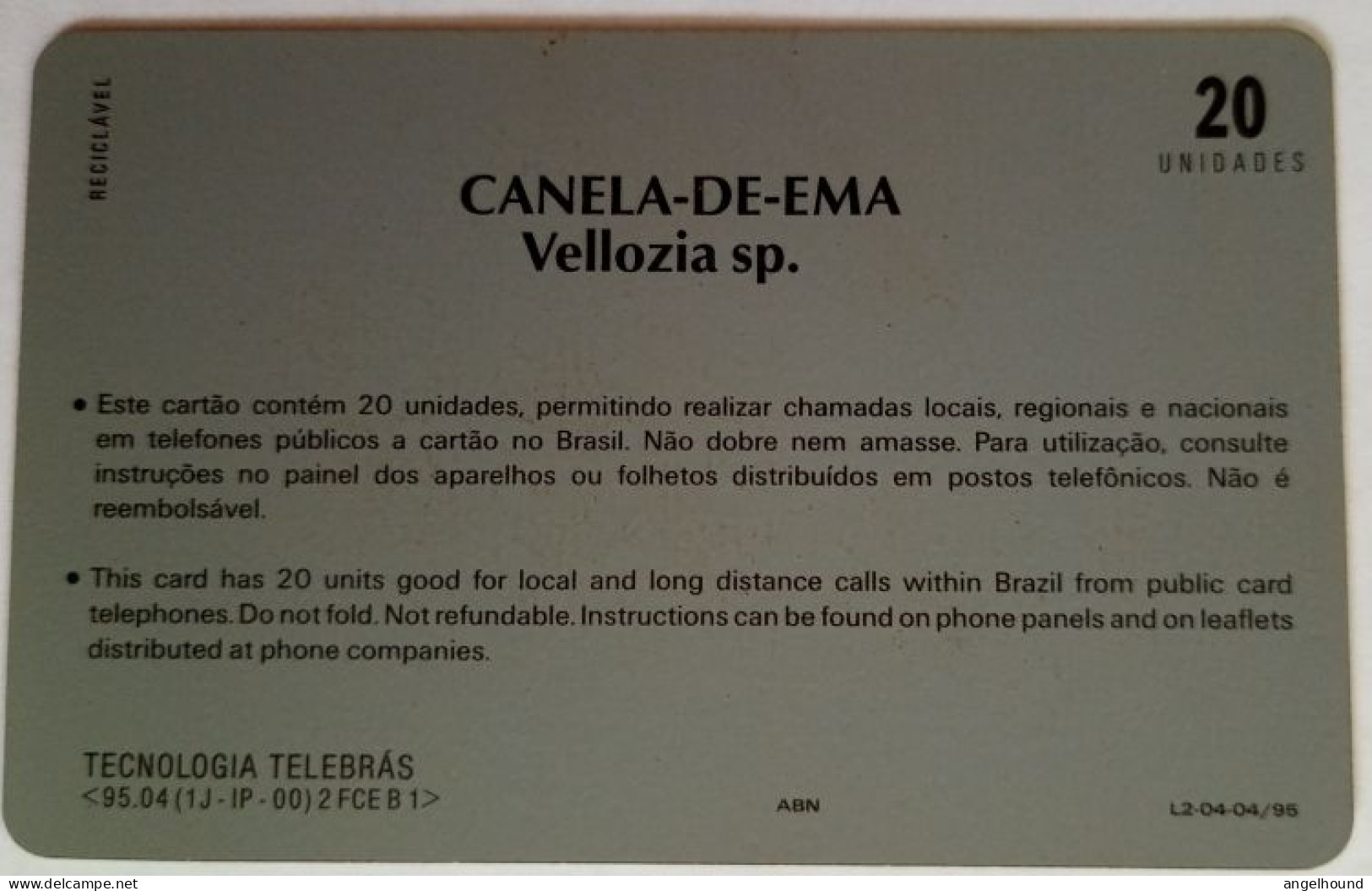 Brazil 20 Units -Canela-De-Ema Vellozia Sp. - Brazilië