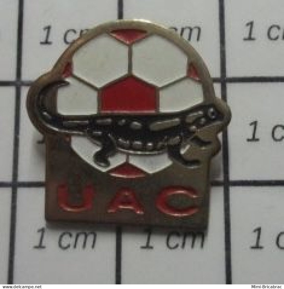 1618B  Pin's Pins / Beau Et Rare : SPORTS / CLUB FOOTBALL UAC LEZARD NOIR - Voetbal