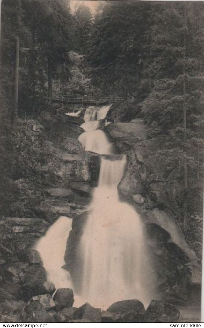 76980 - Triberg - Wasserfall - Total - 1907 - Triberg