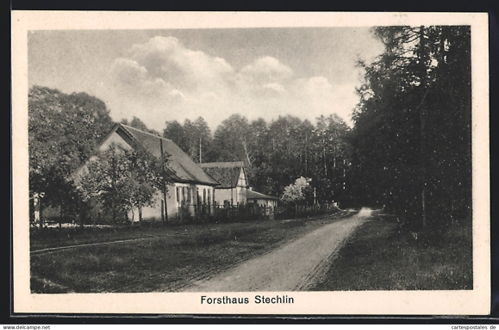 AK Stechlin, Teilansicht Vom Forsthaus  - Chasse