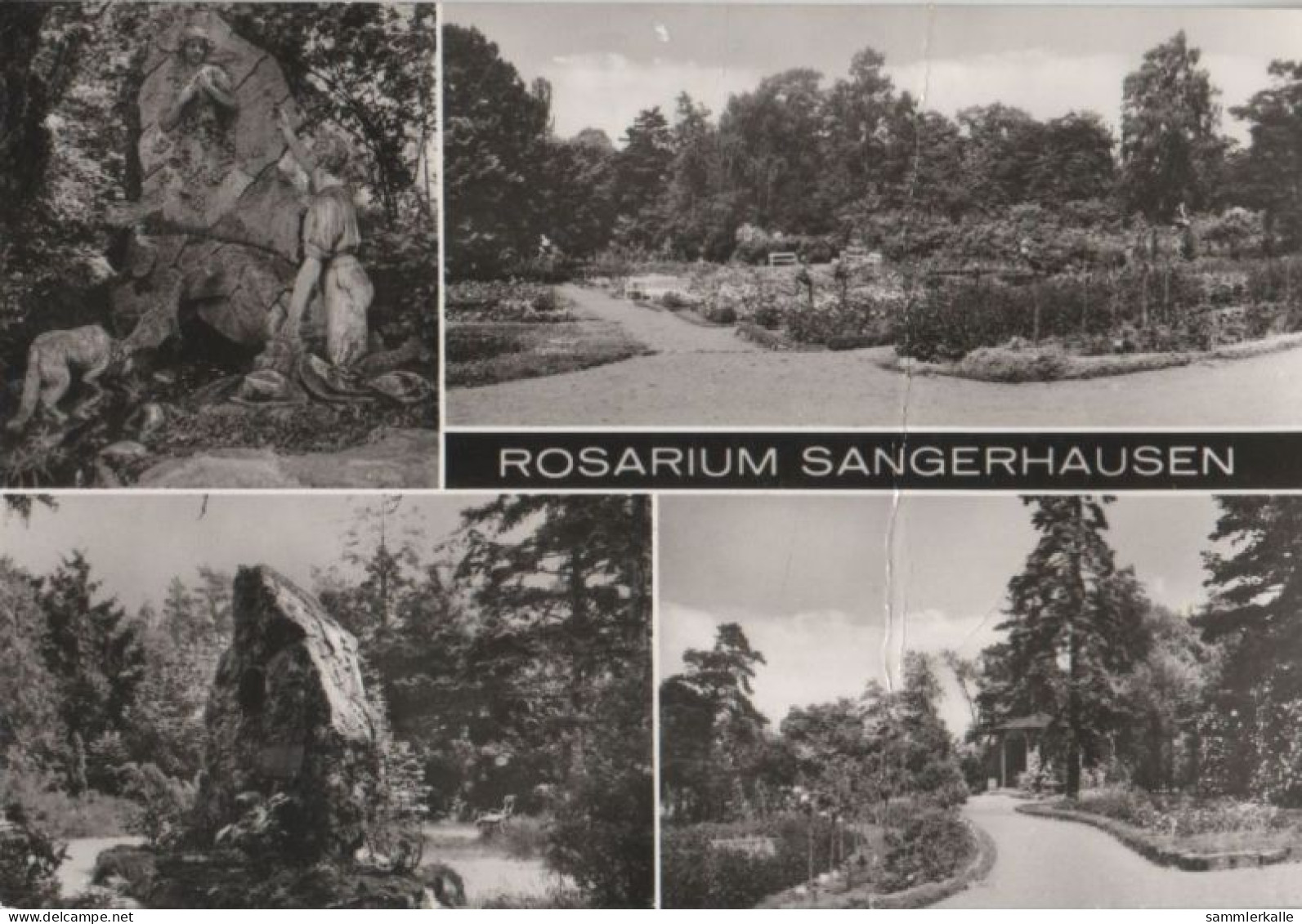 52325 - Sangerhausen - Rosarium - 1984 - Sangerhausen