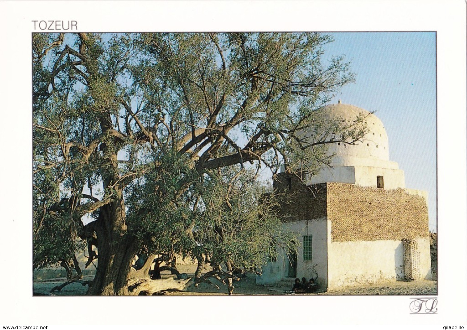 Tunisie - TOZEUR - Le Jujubier Millenaire De Sidi Ali Bou Lifa - Tunisia