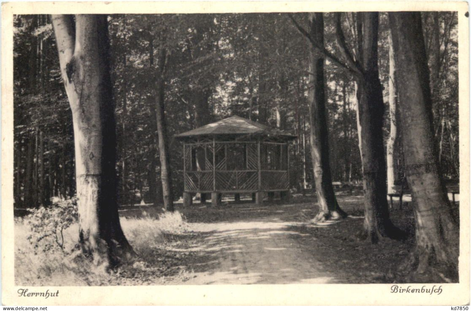 Herrnhut In Sachsen - Birkenbusch - Herrnhut