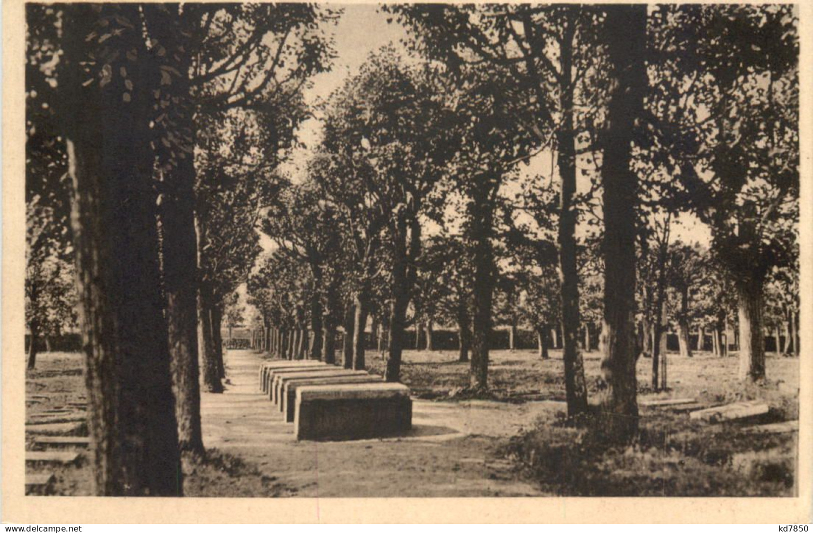 Herrnhut In Sachsen - Zinzendorfgräber Auf Dem Hutberg - Herrnhut