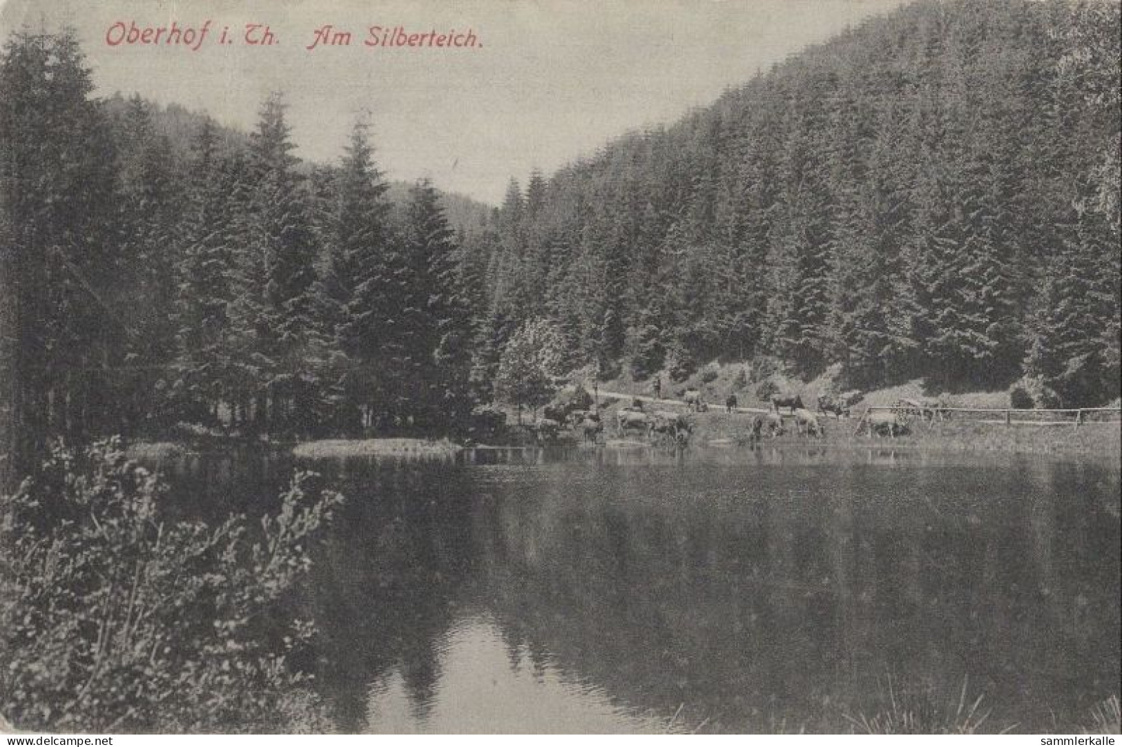 128695 - Oberhof - Am Silberteich - Oberhof