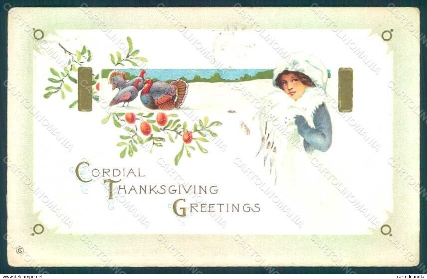 Greetings Lady Thanksgiving Turkey Serie 340e Relief WRINKLES Postcard HR0802 - Autres & Non Classés