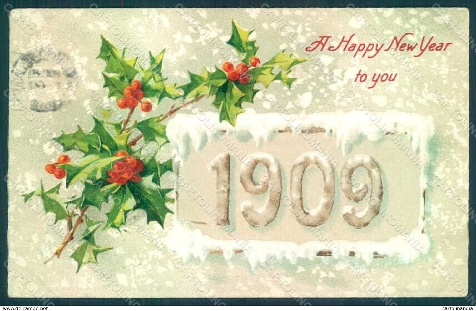 Greetings New Year 1909 Christmas Holly Relief Postcard HR0769 - Autres & Non Classés