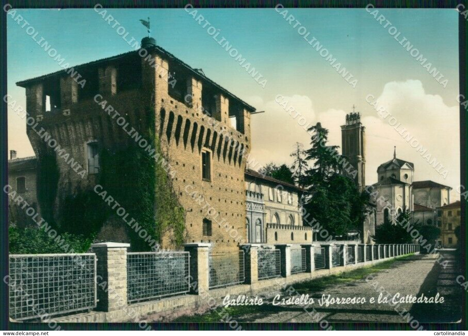 Novara Galliate Foto FG Cartolina ZK5784 - Novara