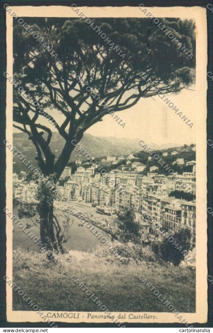 Genova Camogli Cartolina ZQ9381 - Genova (Genoa)