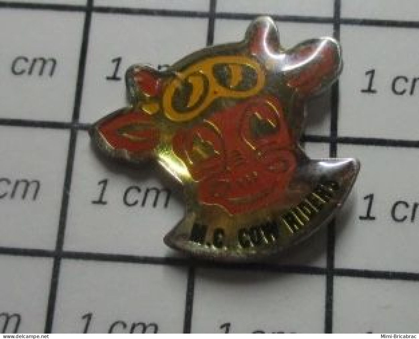 1618B  Pin's Pins / Beau Et Rare : ANIMAUX / TETE DE VACHE MC COW RIDERS - Animaux