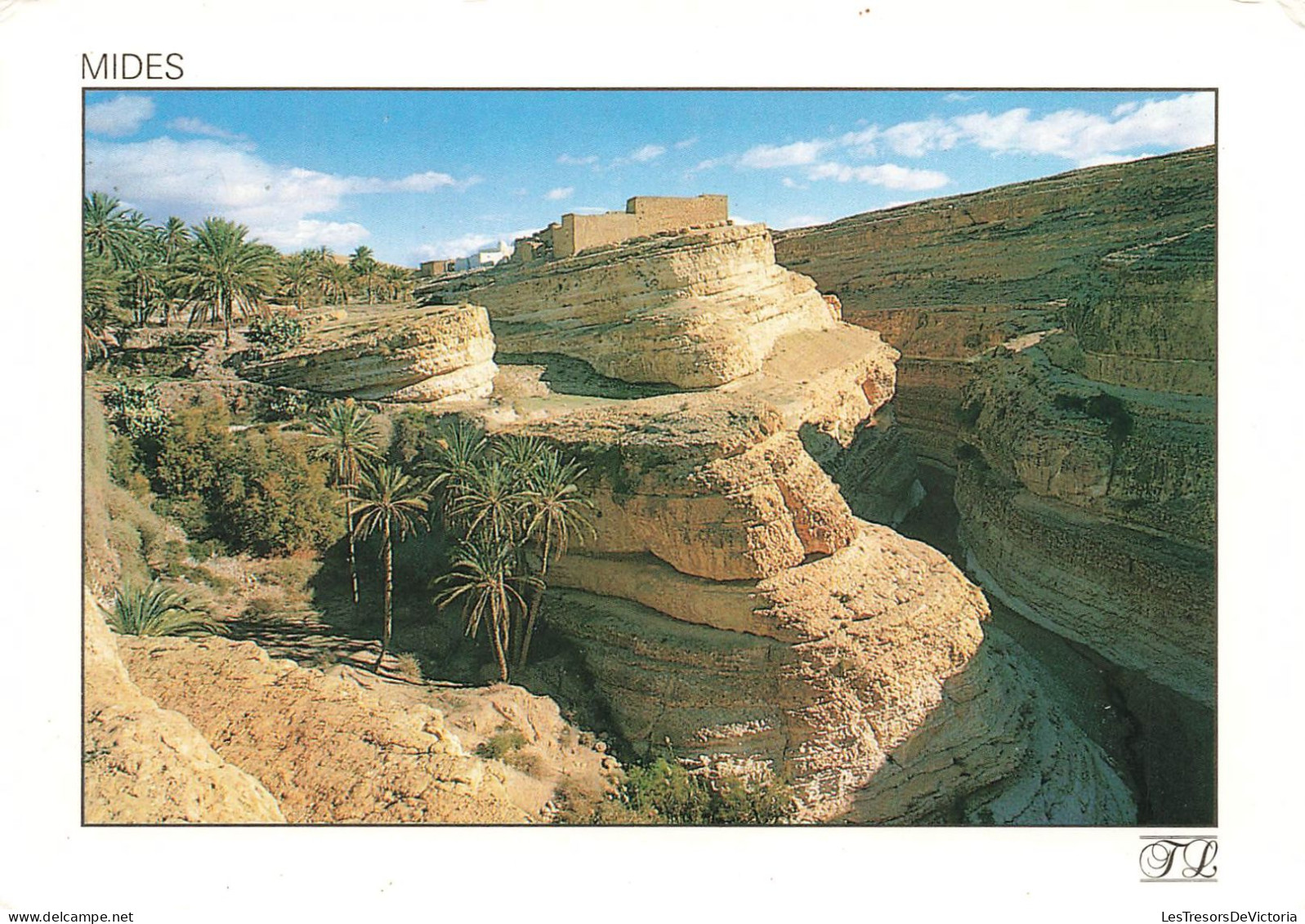 TUNISIE - Mides - Une Oasis De Montagne - Carte Postale - Tunisie