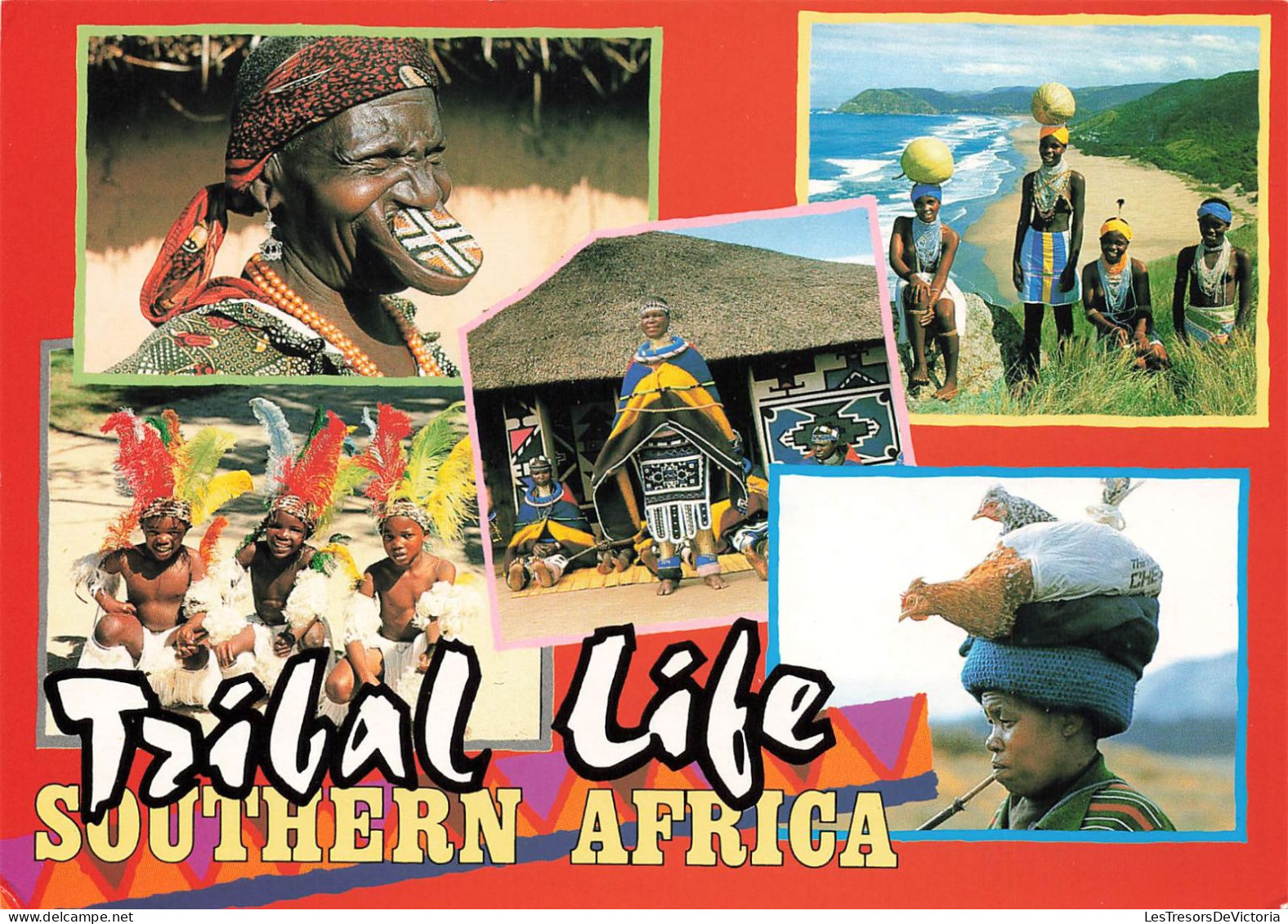AFRIQUE DU SUD - Tribal Life - Folklore - Colorisé - Carte Postale - South Africa
