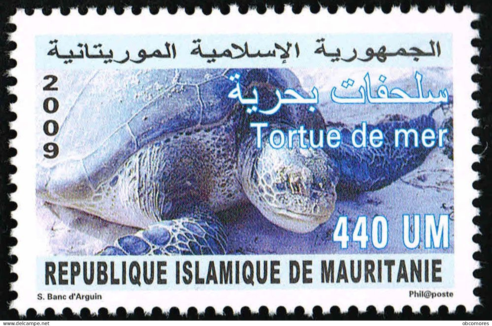 Mauritanie - Mauritania 2009 - Mi 1181 Sc 809 YT 790 - Tortue De Mer 440 UM - Sea Turtle - MNH ** - Schildkröten