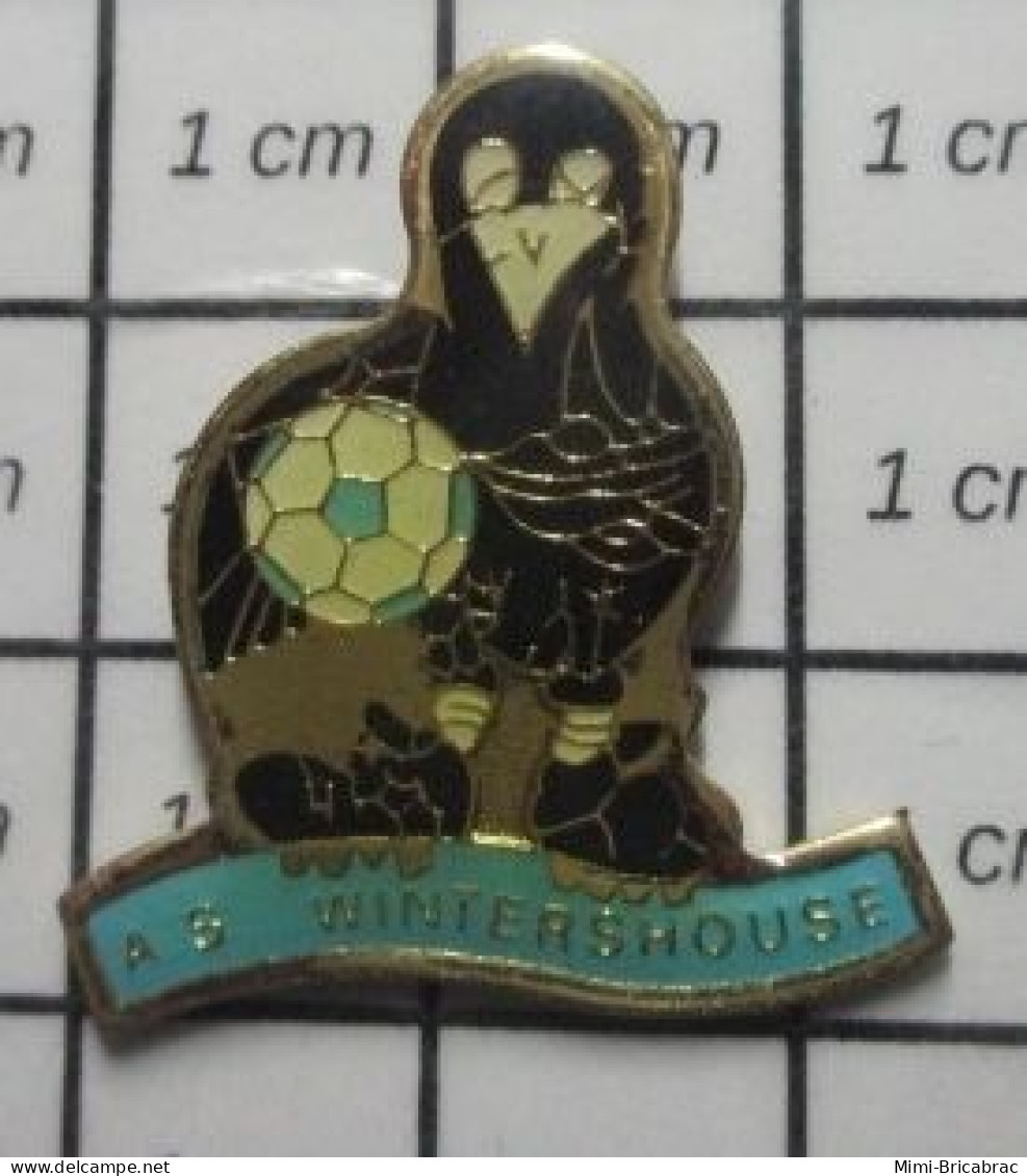 1618B  Pin's Pins / Beau Et Rare : ANIMAUX / OISEAU CORBEAU CLUB FOOTBALL AS WINTERSHOUSE Winter Is Coming ! - Animali