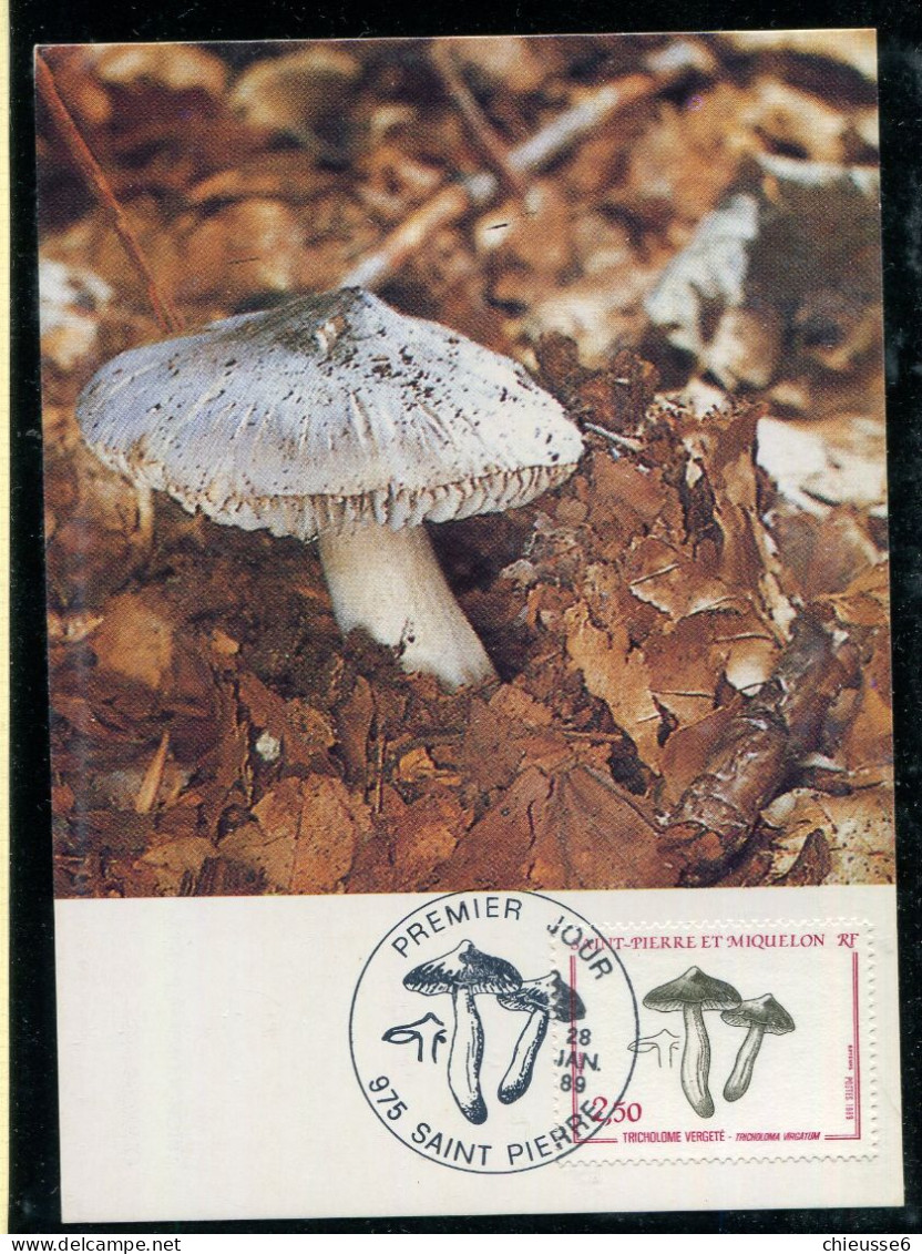 Saint Pierre Et Miquelon CM - Champignons 1988 - 1989 - 1990 - Maximumkaarten