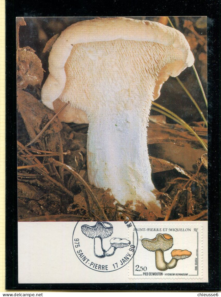 Saint Pierre Et Miquelon CM - Champignons 1988 - 1989 - 1990 - Tarjetas – Máxima