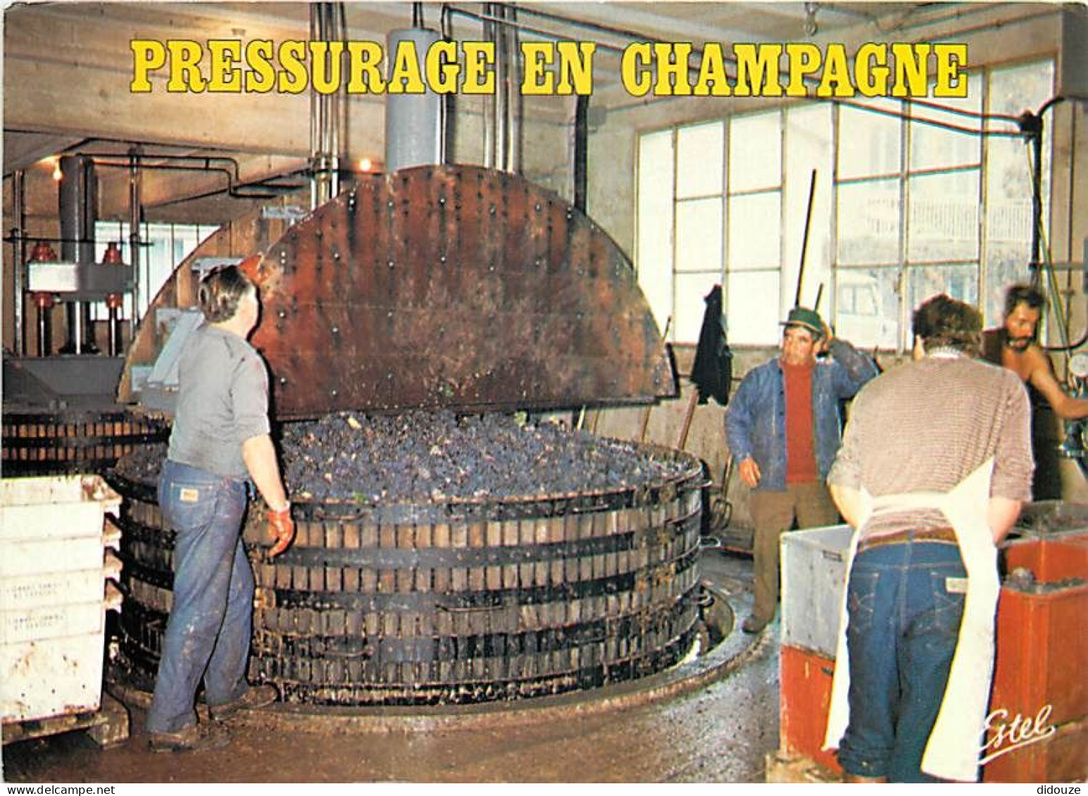 Vignes - Champagne - Pressurage Du Champagne - Pressoir - CPM - Voir Scans Recto-Verso - Wijnbouw