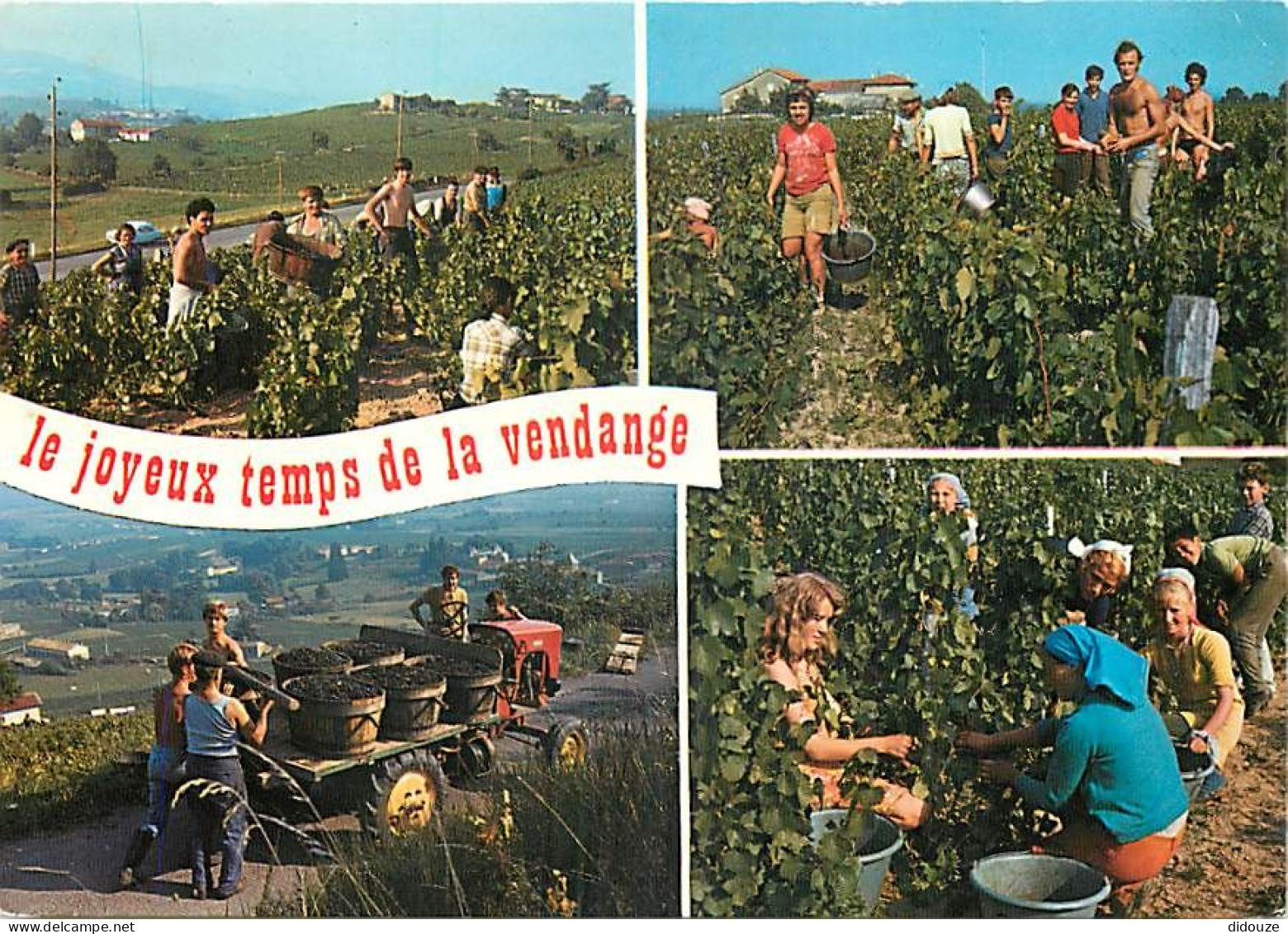 Vignes - Vendanges - Multivues - Tracteur - CPM - Flamme Postale - Voir Scans Recto-Verso - Vignes