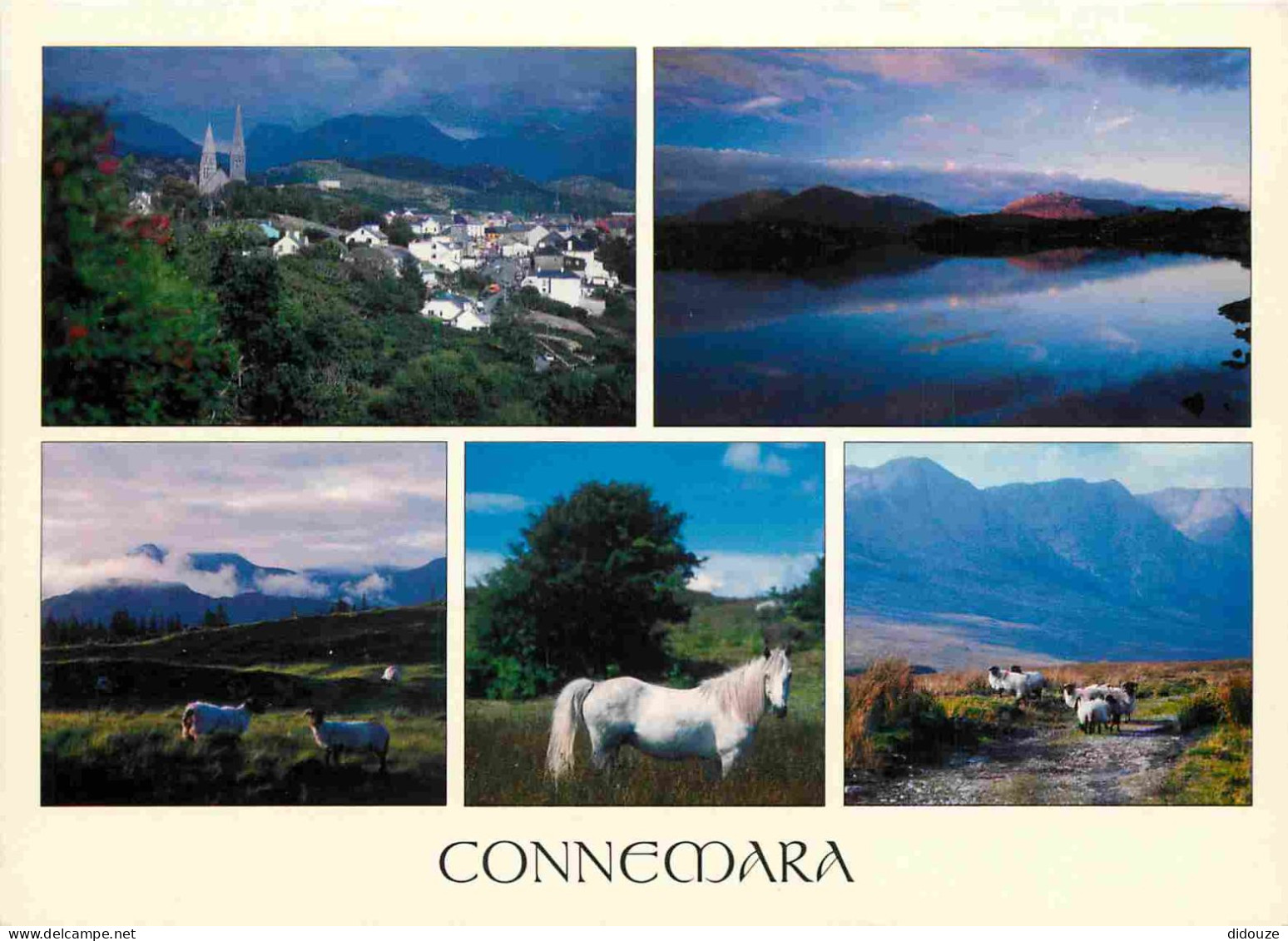 Irlande - Galway - Connemara - Multivues - Chevaux - Moutons - CPM - Voir Scans Recto-Verso - Galway