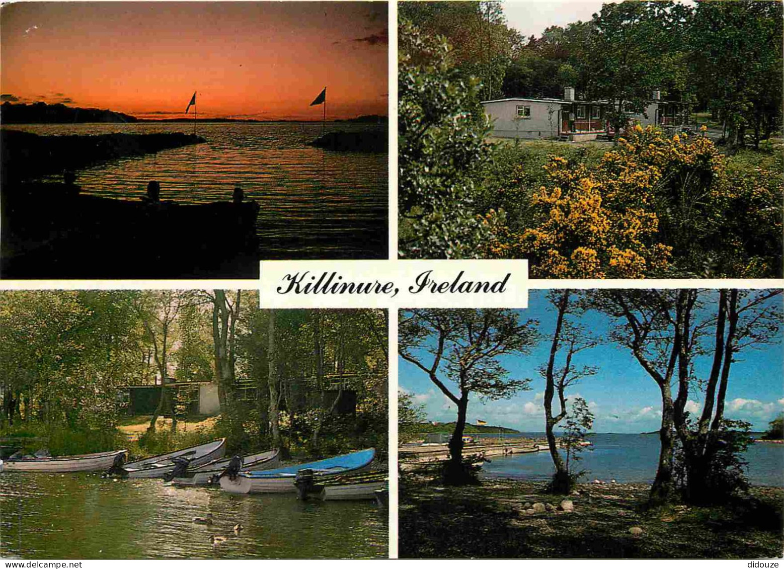 Irlande - Westmeath - Killimure - Multivues - Henry's Fishing Camp - Glasson - Athlone - CPM - Voir Scans Recto-Verso - Westmeath