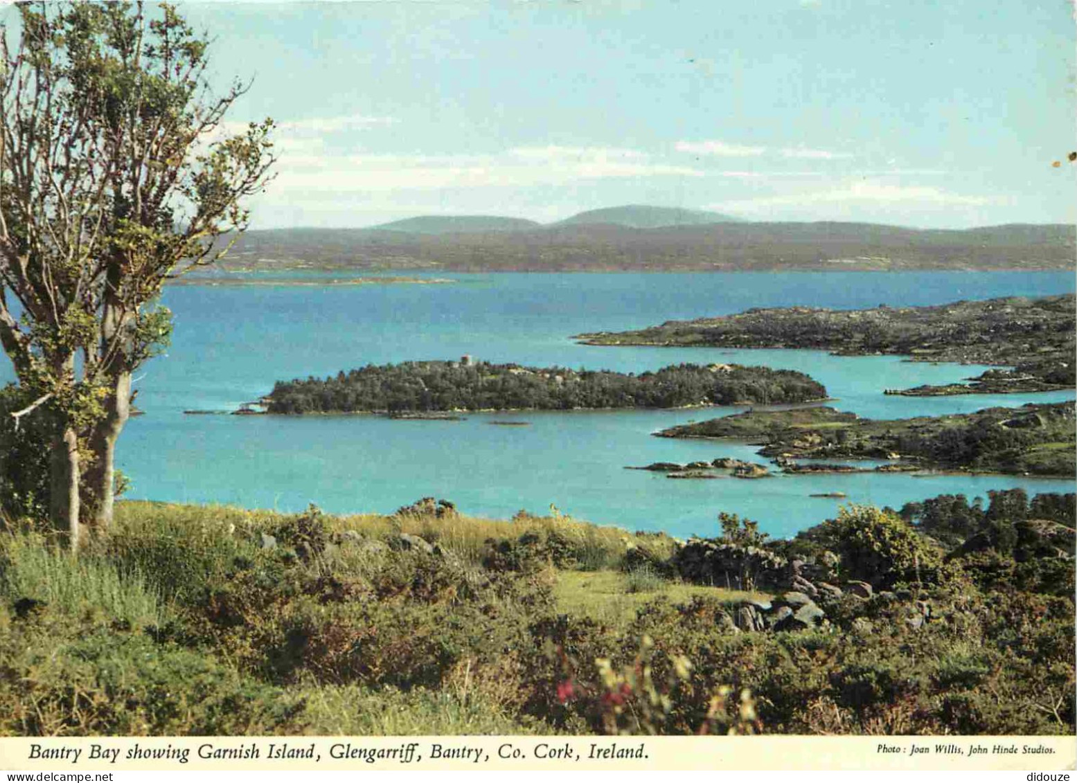 Irlande - Cork - Glengarriff - Bantry - Bantry Bay Showing Garnish Island - CPM - Voir Scans Recto-Verso - Cork