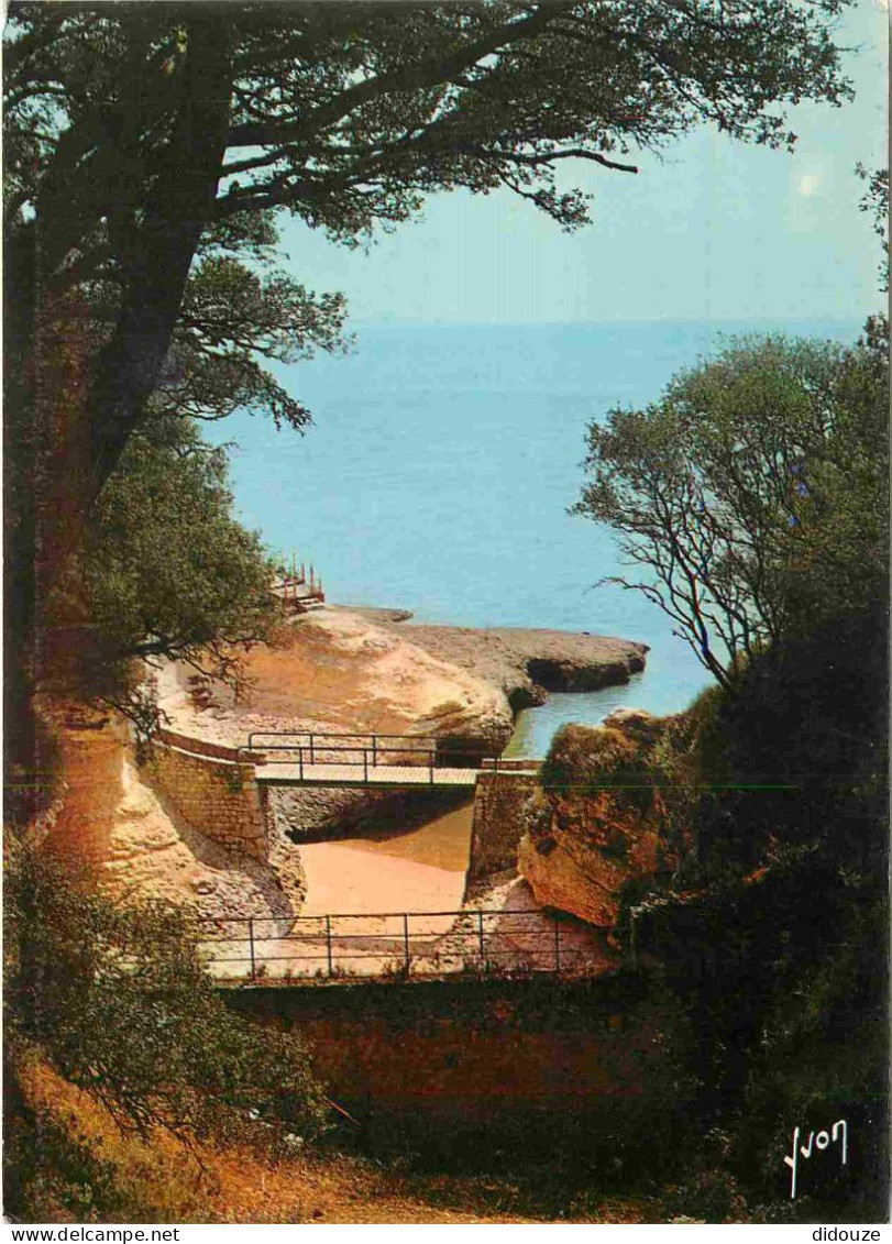 17 - Saint Palais Sur Mer - Le Pont De La Corniche - CPM - Voir Scans Recto-Verso - Saint-Palais-sur-Mer