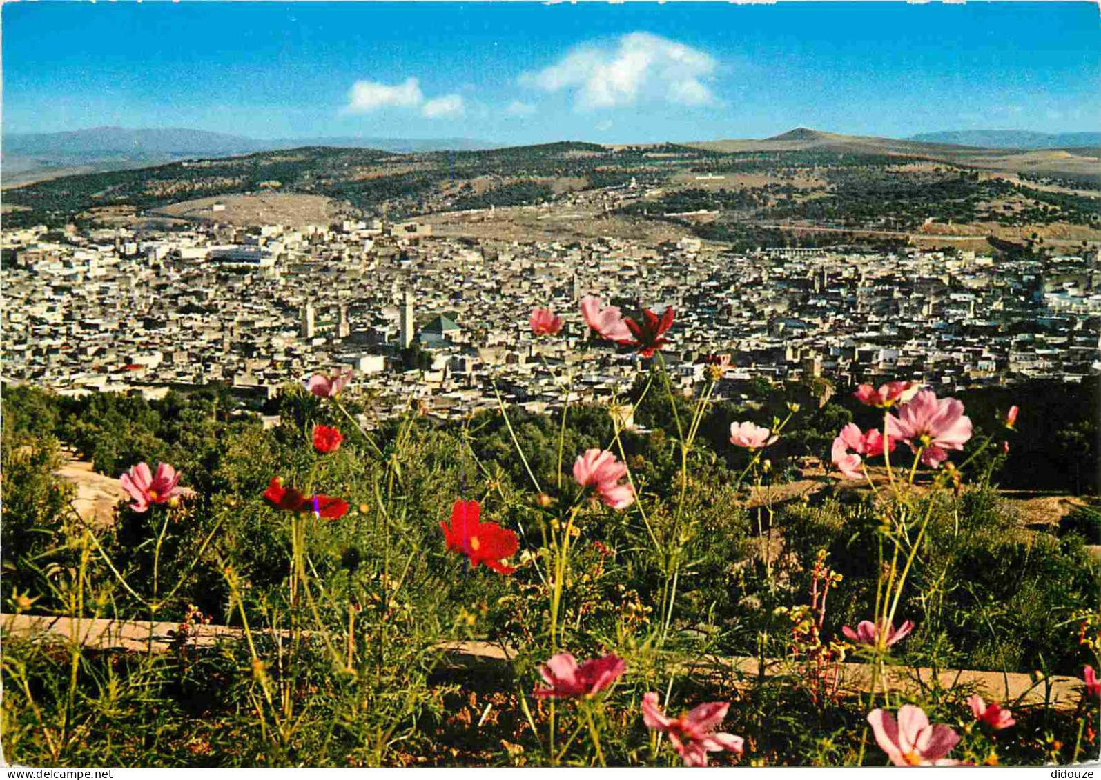 Maroc - Fez - Fès - Vue Générale - Fleurs - CPM - Carte Neuve - Voir Scans Recto-Verso - Fez