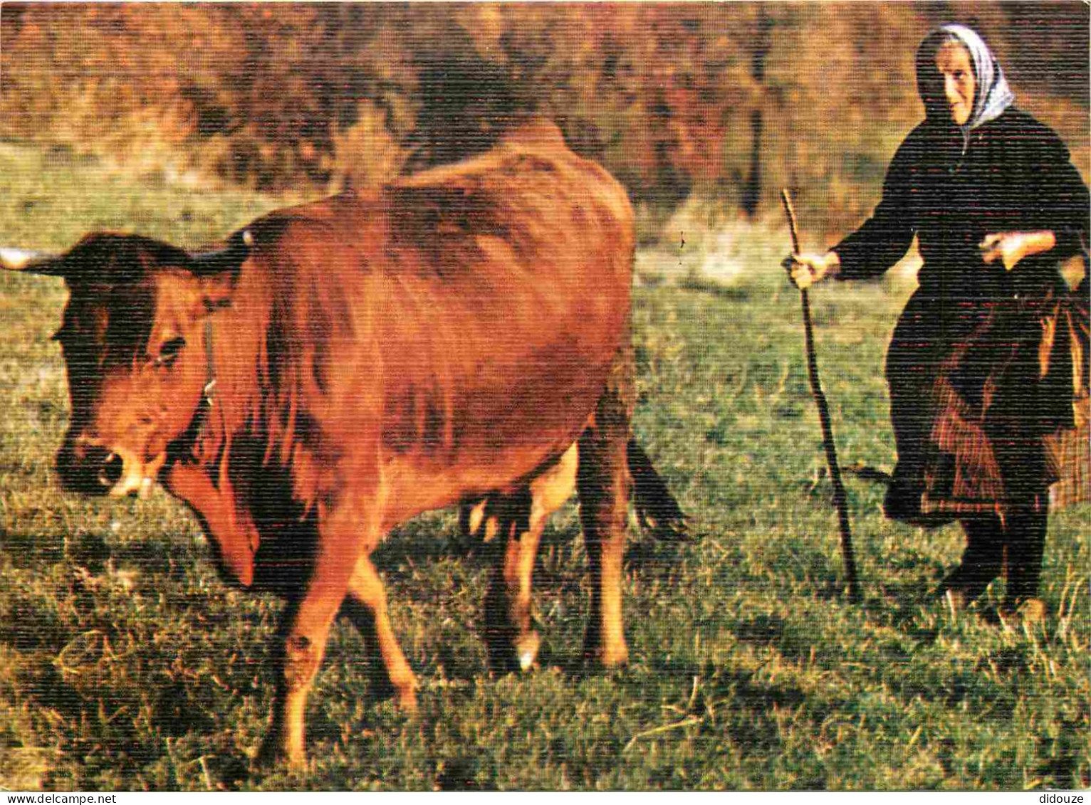 Animaux - Vaches - Le Retour à La Ferme - Paysans - Carte Gauffrée - CPM - Voir Scans Recto-Verso - Kühe