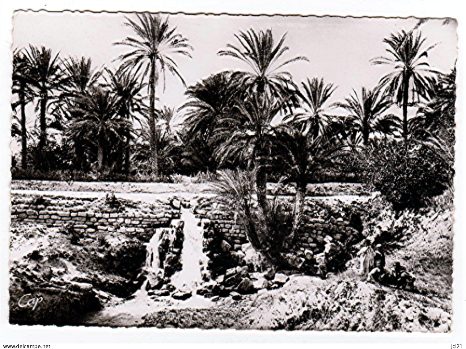 CPSM - TUNISIE GABES - Cascade De Chenini (1279)_CP383 - Tunisia