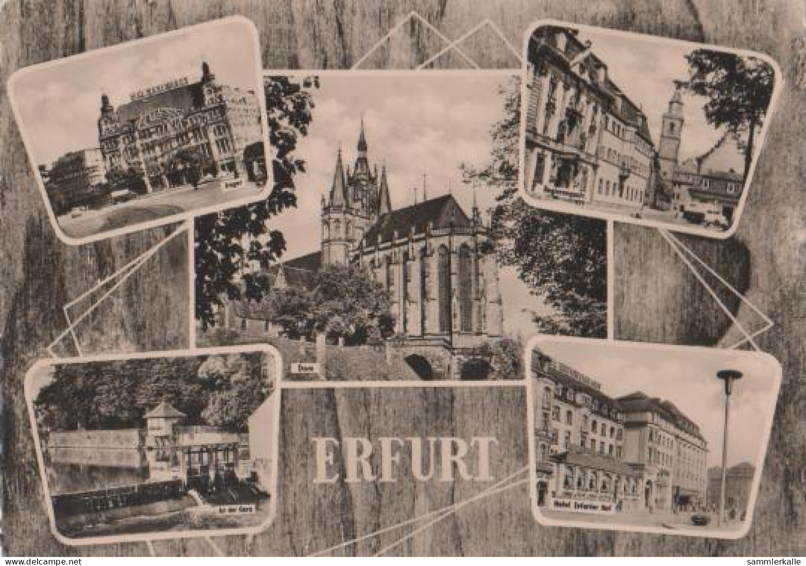 15342 - Erfurt - 1961 - Erfurt