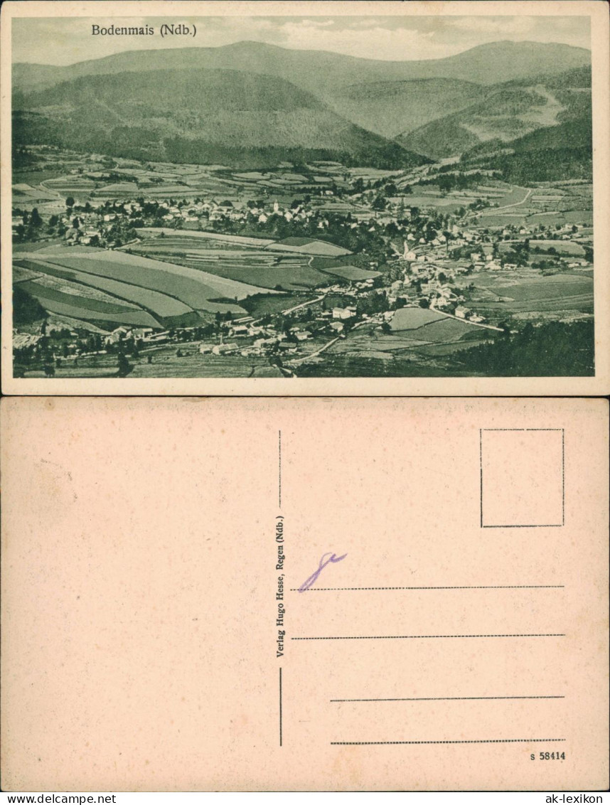 Ansichtskarte Bodenmais Stadtblick 1923 - Bodenmais