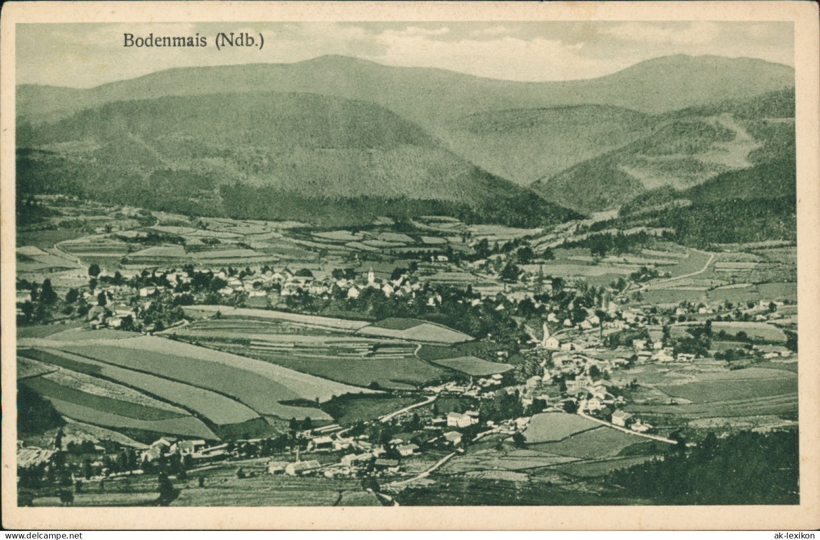 Ansichtskarte Bodenmais Stadtblick 1923 - Bodenmais