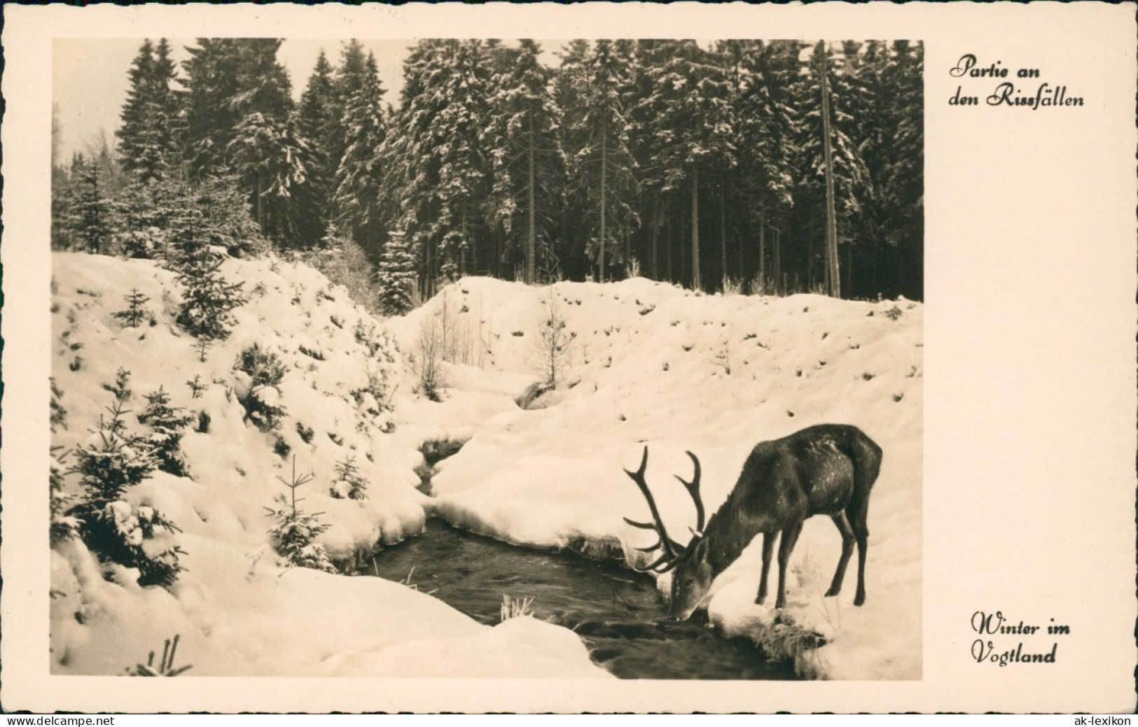 Ansichtskarte Grünbach (Vogtland) Hirsch Am Bach, Winter Im Vogtland 1937 - Other & Unclassified