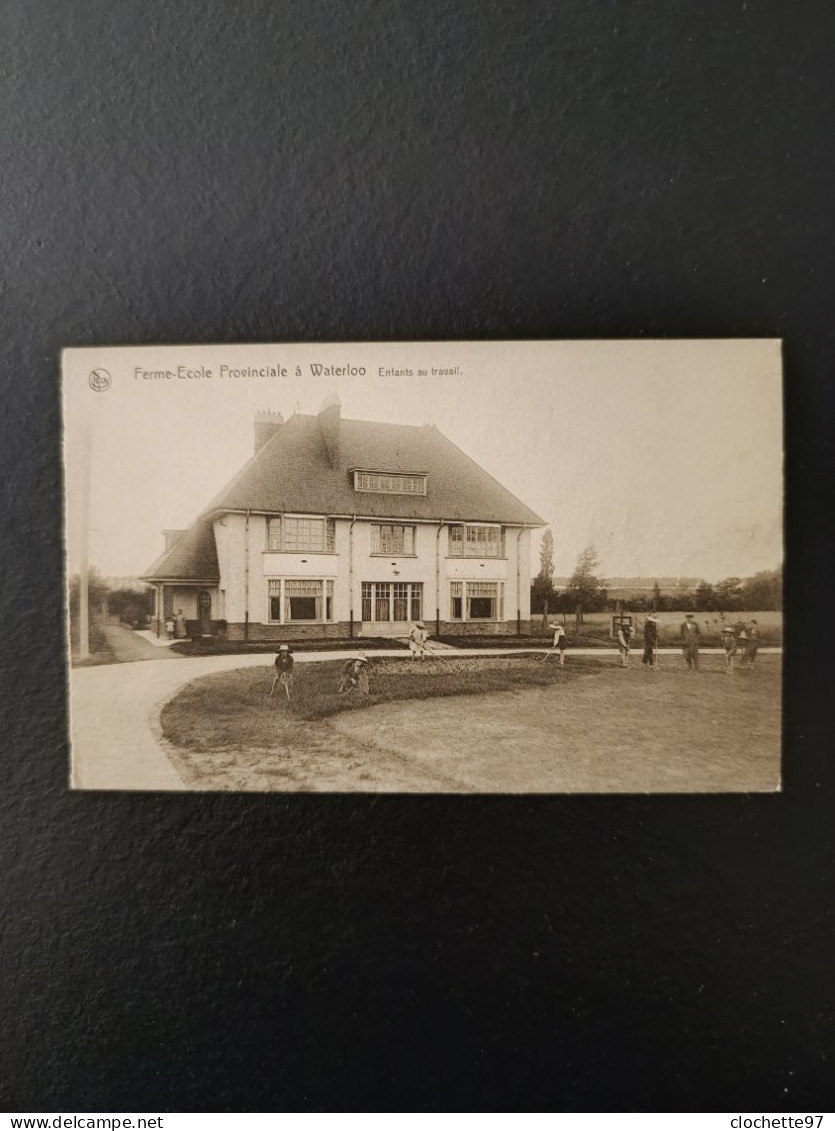 B3670- Ferme école Provinciale à Waterloo Enfants Au Travail - Waterloo