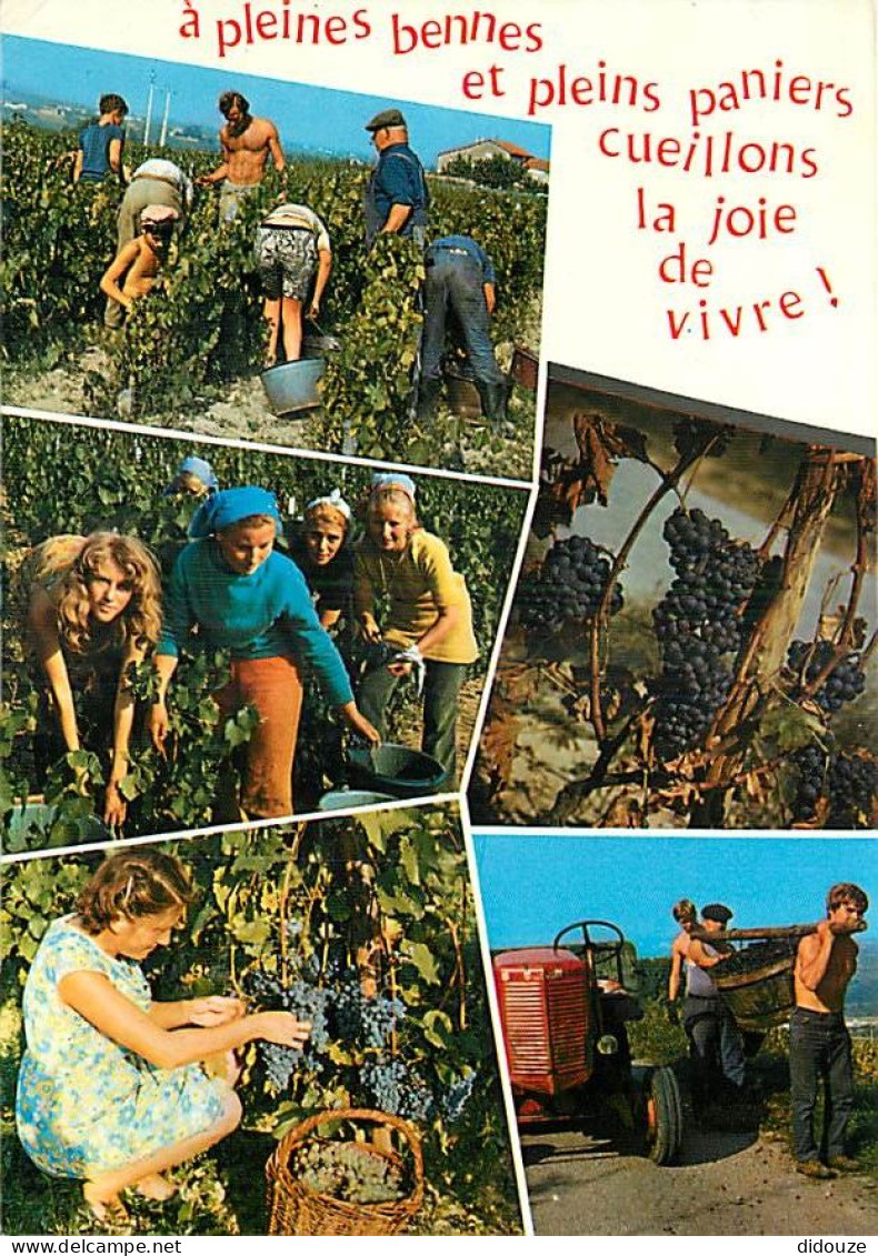 Vignes - Vendanges - Multivues - Tracteur - CPM - Flamme Postale - Voir Scans Recto-Verso - Viñedos