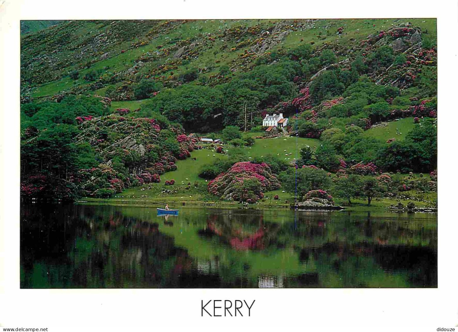 Irlande - Kerry - Lake - Lac - CPM - Voir Scans Recto-Verso - Kerry